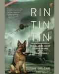 Rin Tin Tin: Perjalanan Hidup Seekor Anjing pada Perang Dunia 1