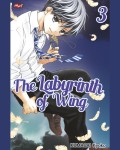 The Labyrinth of Wing Vol 3