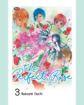 The Perfect Rose Vol 3